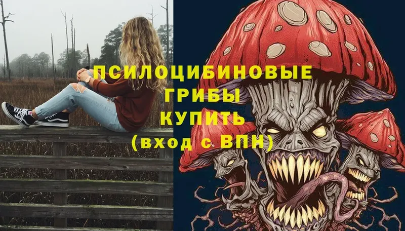 Псилоцибиновые грибы Cubensis  где можно купить наркотик  ссылка на мегу tor  Тамбов 